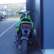 PGO pmx