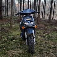 Aprilia Rally ac 50