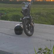 Suzuki fz50