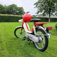 Honda Camino pa50