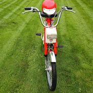 Honda Camino pa50