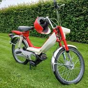 Honda Camino pa50