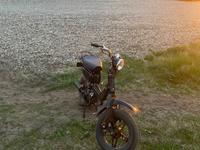 Suzuki fz50