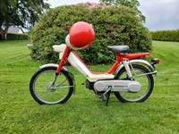 Honda Camino pa50
