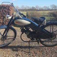 Veteraner BFC Lynette 