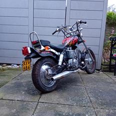 Regal Raptor ( Fandt hjem igen efter 5 år)