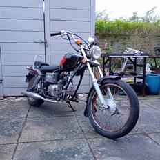 Regal Raptor ( Fandt hjem igen efter 5 år)