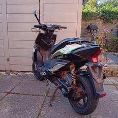 VGA Grido 2T (SOLGT)