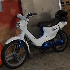 Honda Wallaroo PK50