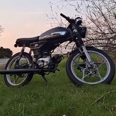 Yamaha FS 1