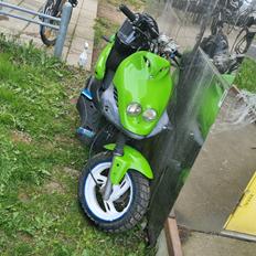 PGO pmx