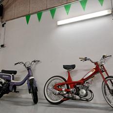 Motobecane 40T