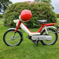 Honda Camino pa50