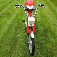 Honda Camino pa50