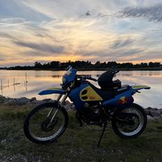 Suzuki Rmx50