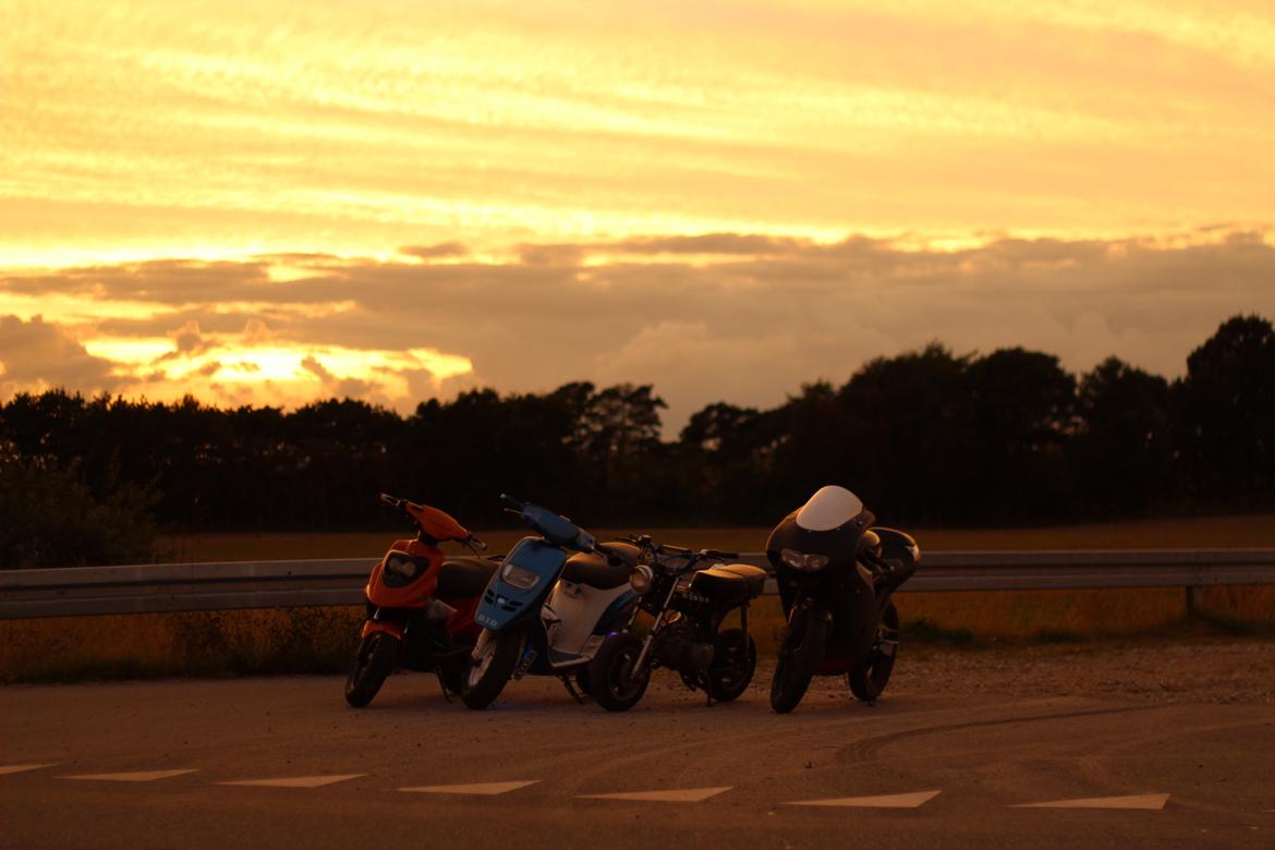 PGO Hot 50 billede 4