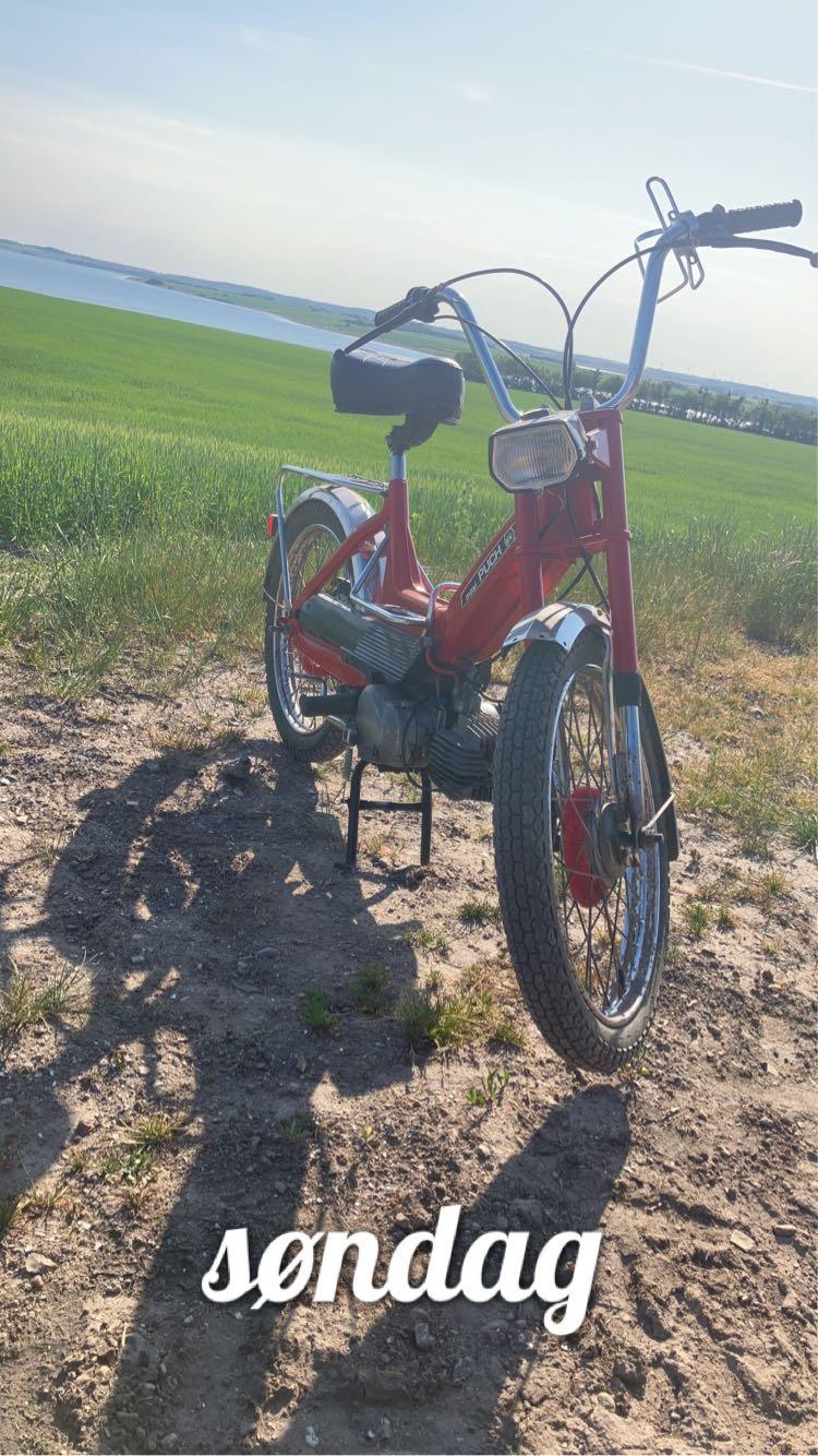 Puch Maxi k billede 6