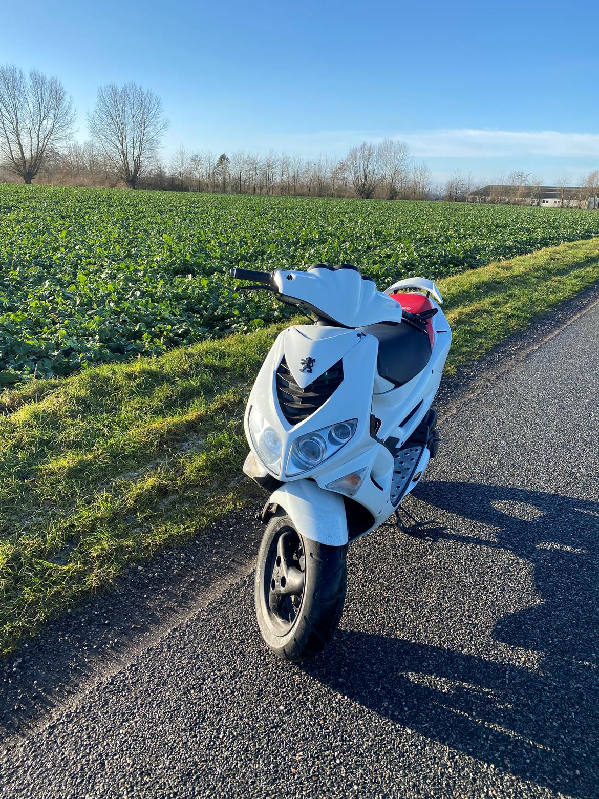 Peugeot Speedfight 2 billede 10