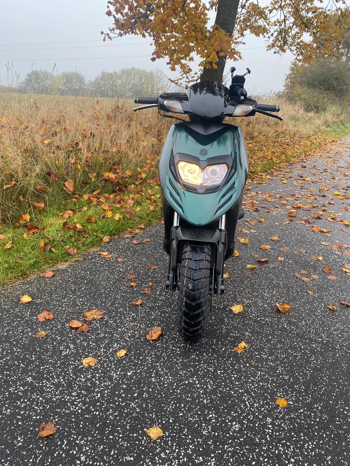 Piaggio Typhoon billede 3