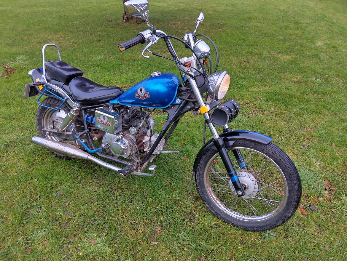 Regal dadyw regal raptor dd50qe-3 billede 1