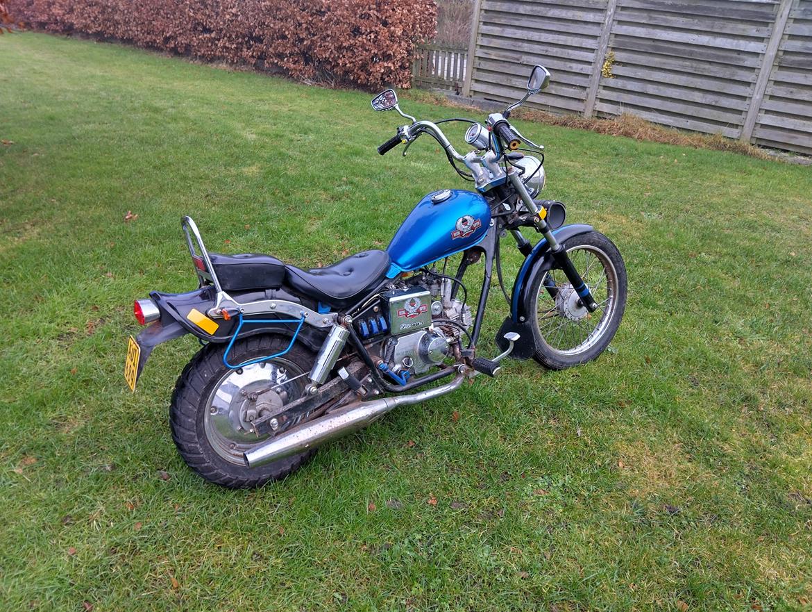 Regal dadyw regal raptor dd50qe-3 billede 2