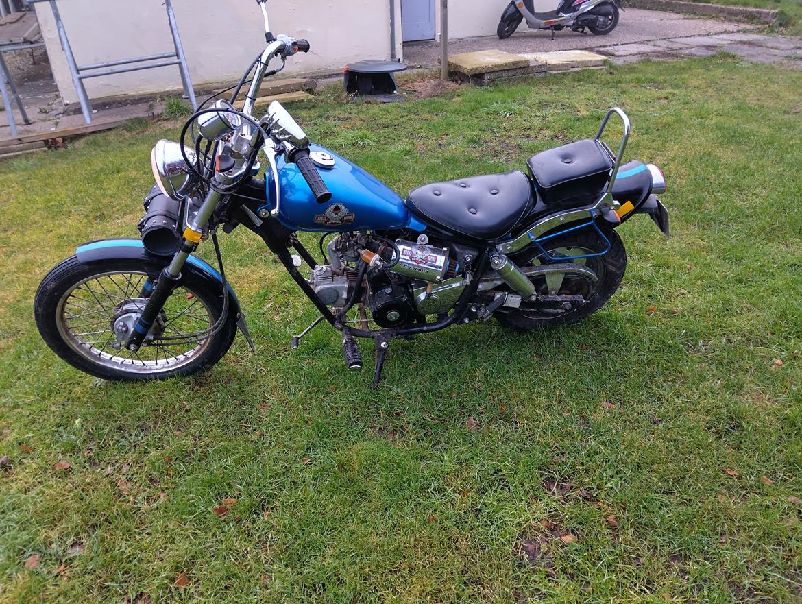 Regal dadyw regal raptor dd50qe-3 billede 3