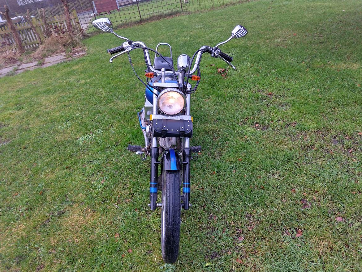 Regal dadyw regal raptor dd50qe-3 billede 4