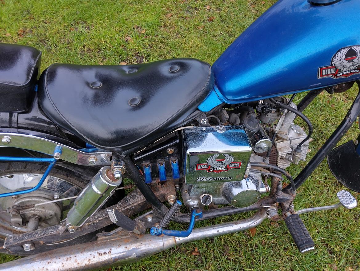 Regal dadyw regal raptor dd50qe-3 billede 6