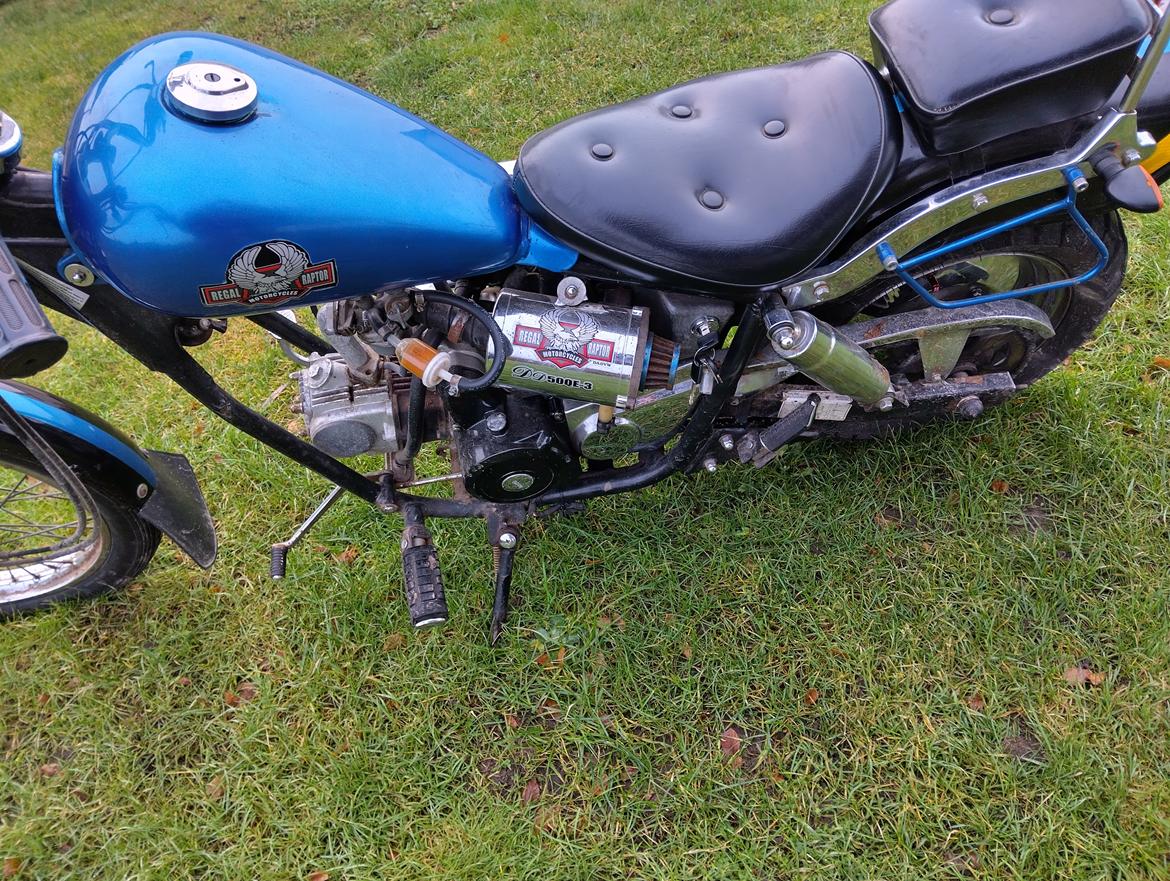 Regal dadyw regal raptor dd50qe-3 billede 7