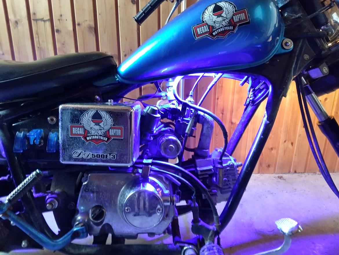 Regal dadyw regal raptor dd50qe-3 billede 8