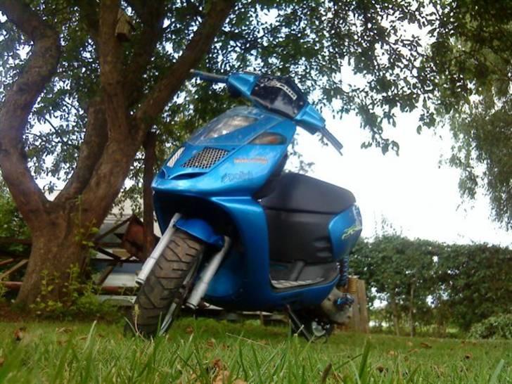 Aprilia Sonic billede 6