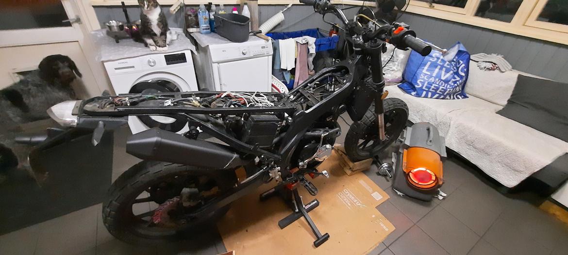 Apollo Orion   36 RX Xtreme  billede 9