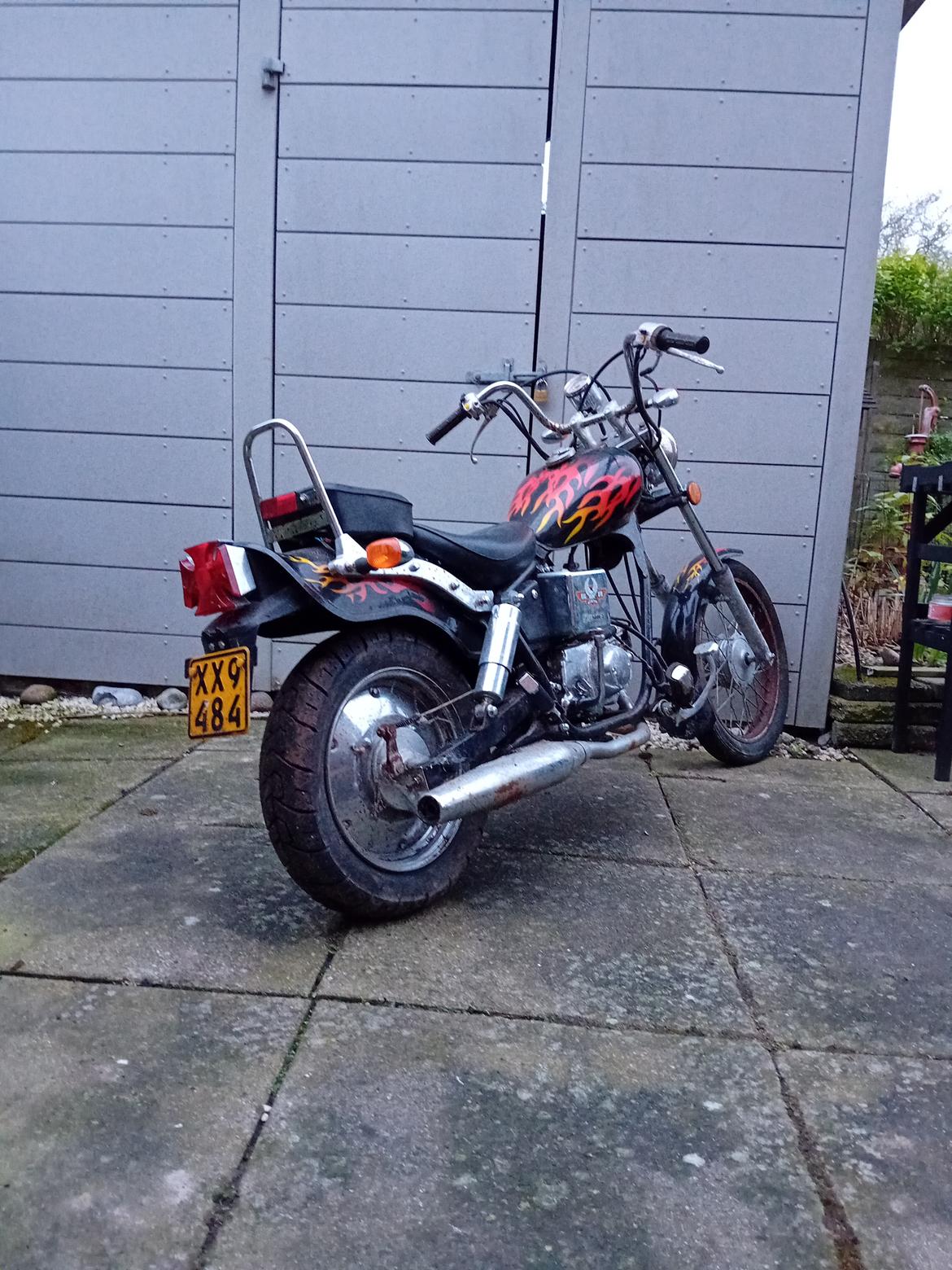 Regal Raptor ( Fandt hjem igen efter 5 år) billede 3