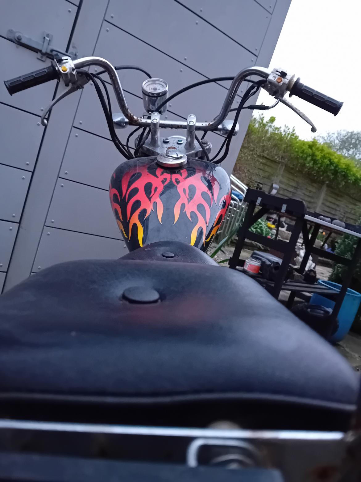 Regal Raptor ( Fandt hjem igen efter 5 år) billede 9