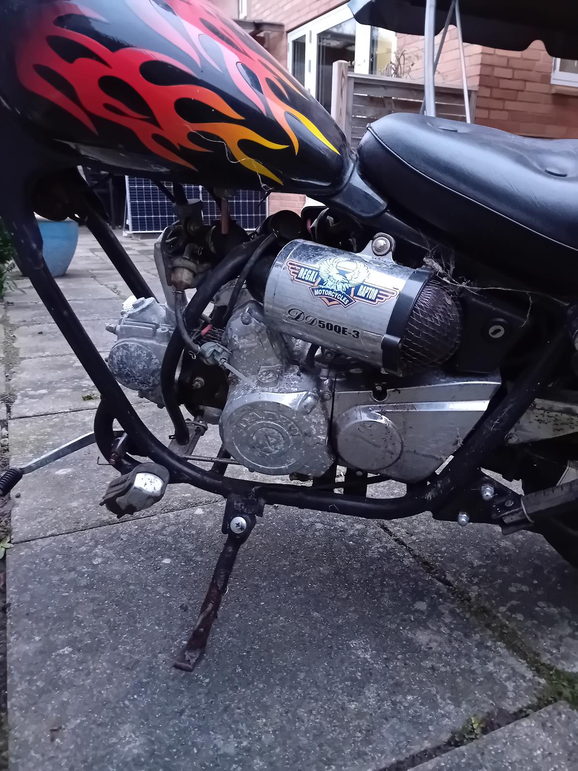 Regal Raptor ( Fandt hjem igen efter 5 år) billede 6