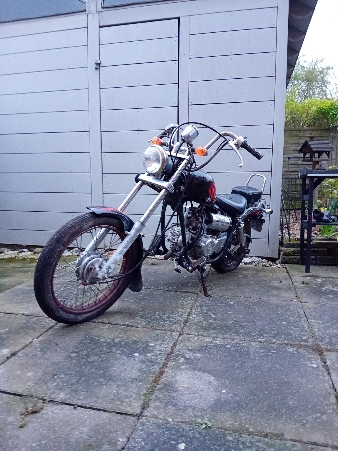 Regal Raptor ( Fandt hjem igen efter 5 år) billede 1