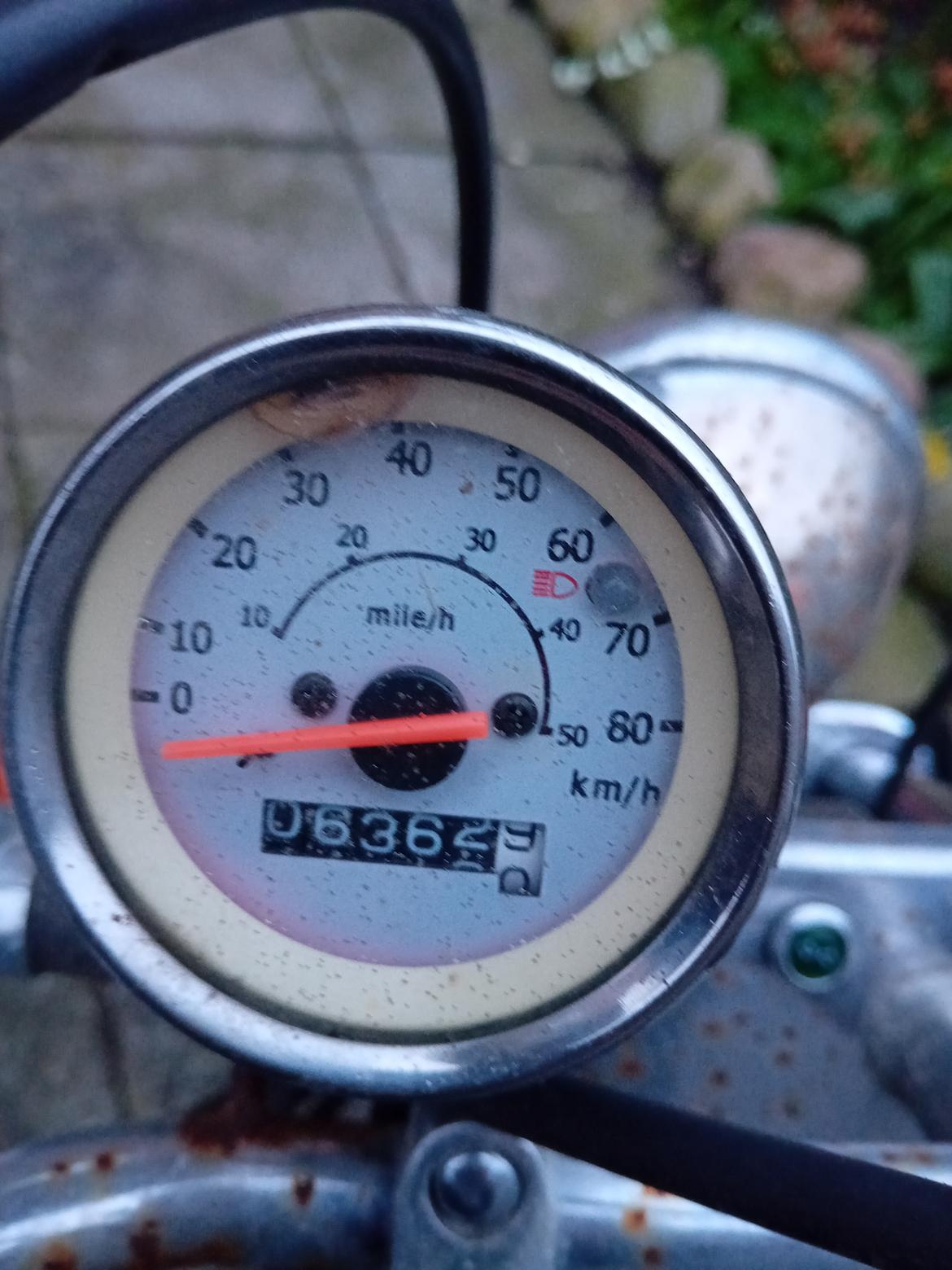 Regal Raptor ( Fandt hjem igen efter 5 år) billede 5