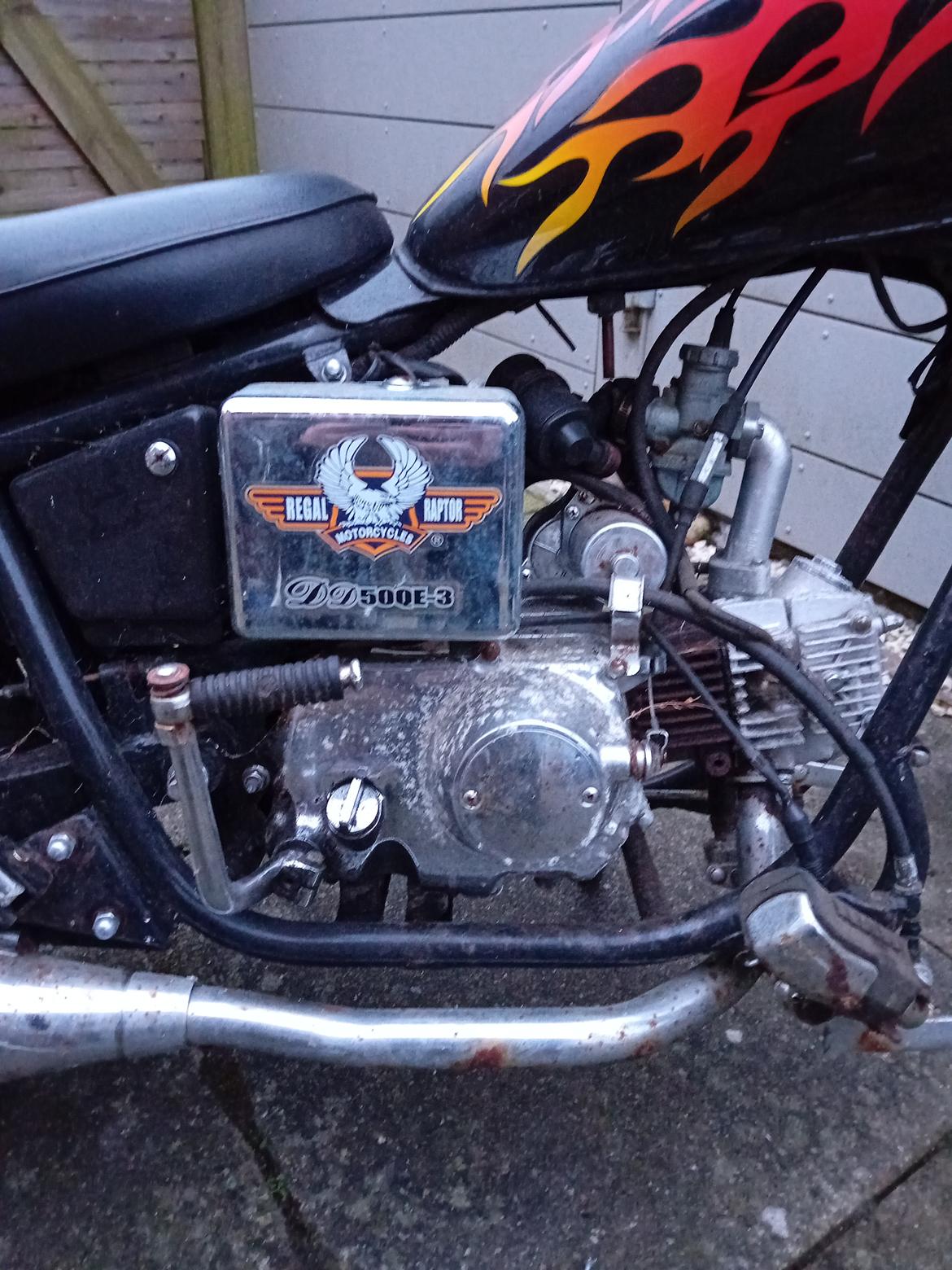 Regal Raptor ( Fandt hjem igen efter 5 år) billede 7