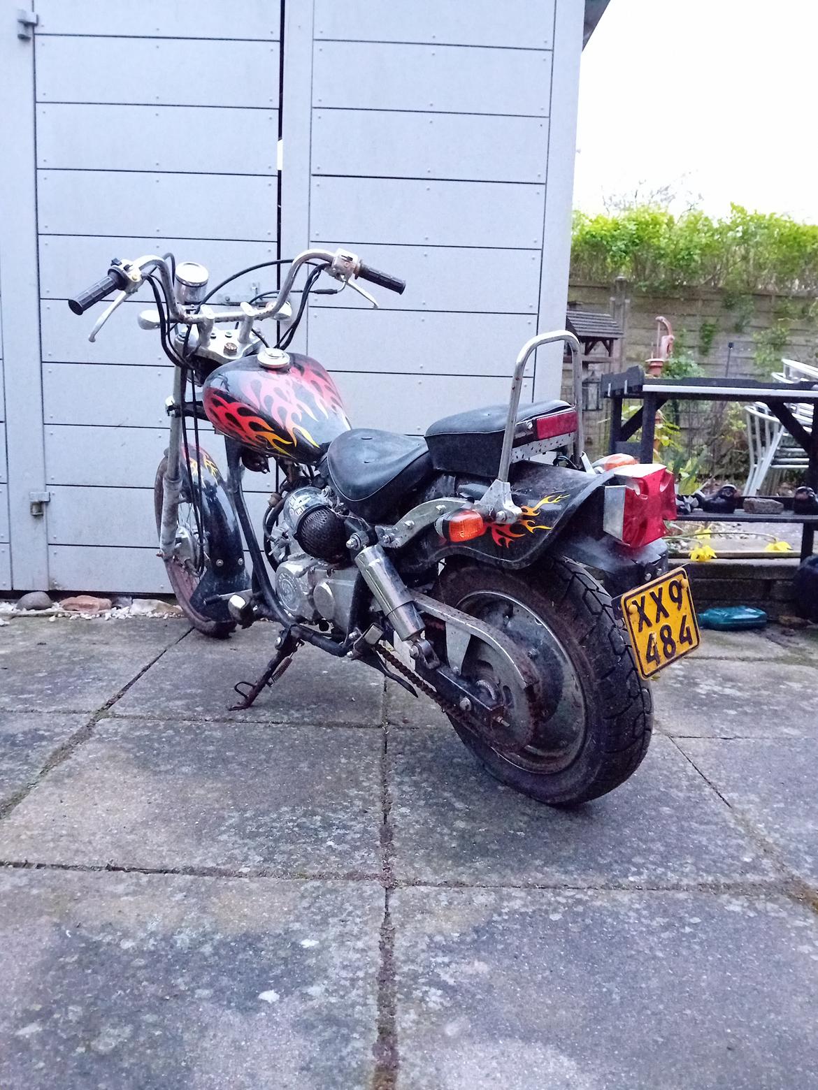 Regal Raptor ( Fandt hjem igen efter 5 år) billede 4