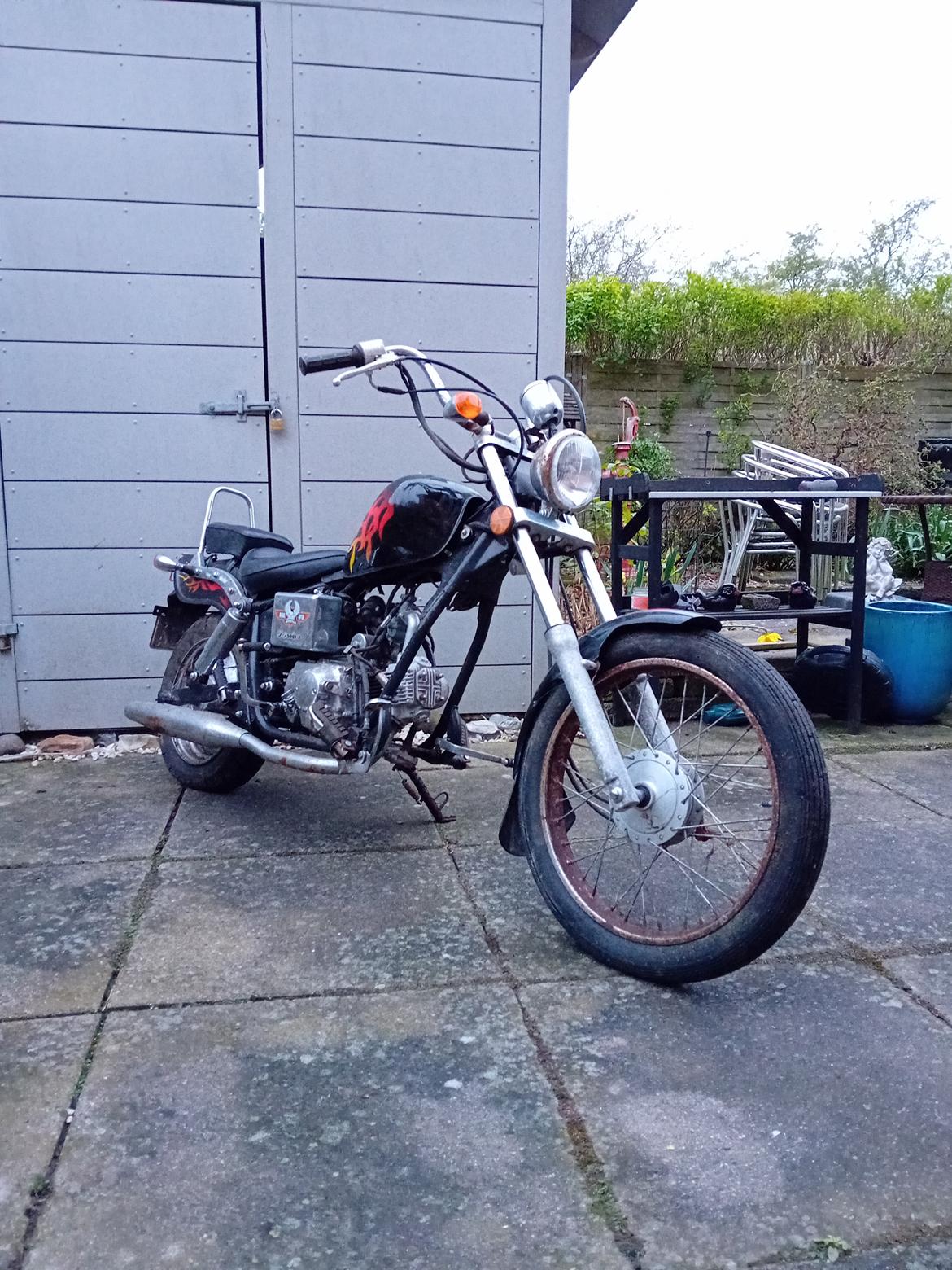 Regal Raptor ( Fandt hjem igen efter 5 år) billede 2