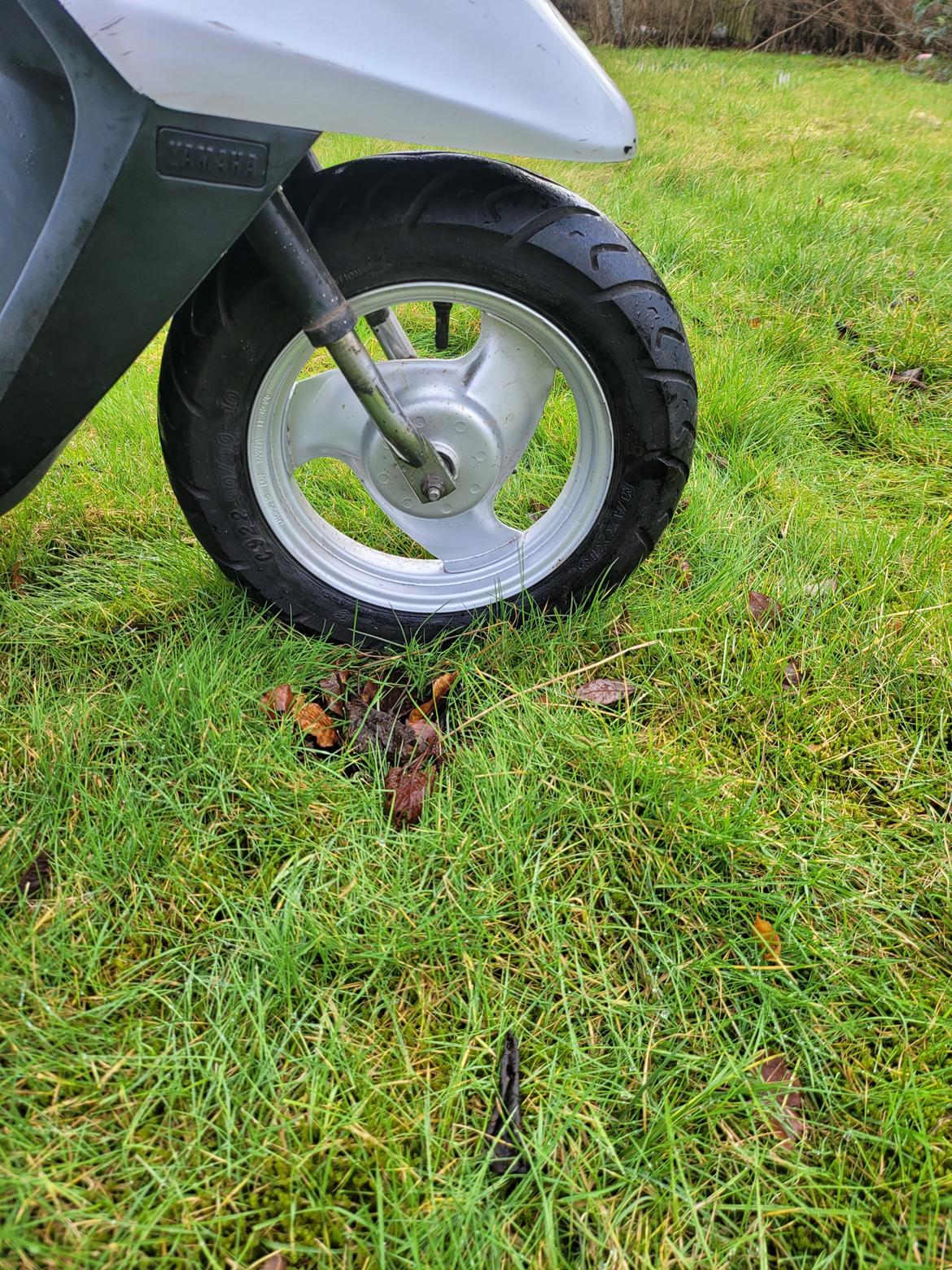 Yamaha Fine Selection billede 13