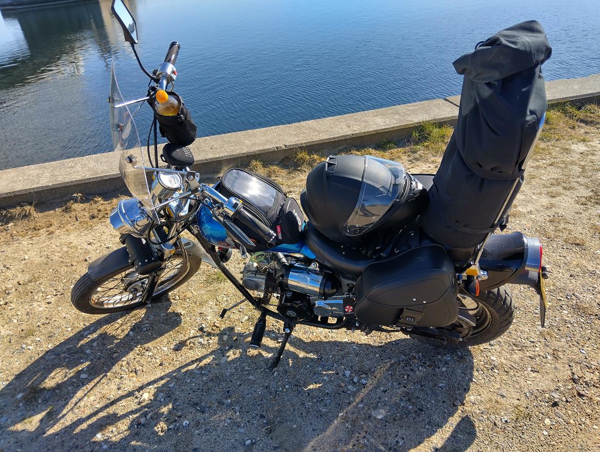 Regal dadyw regal raptor dd50qe-3 billede 10