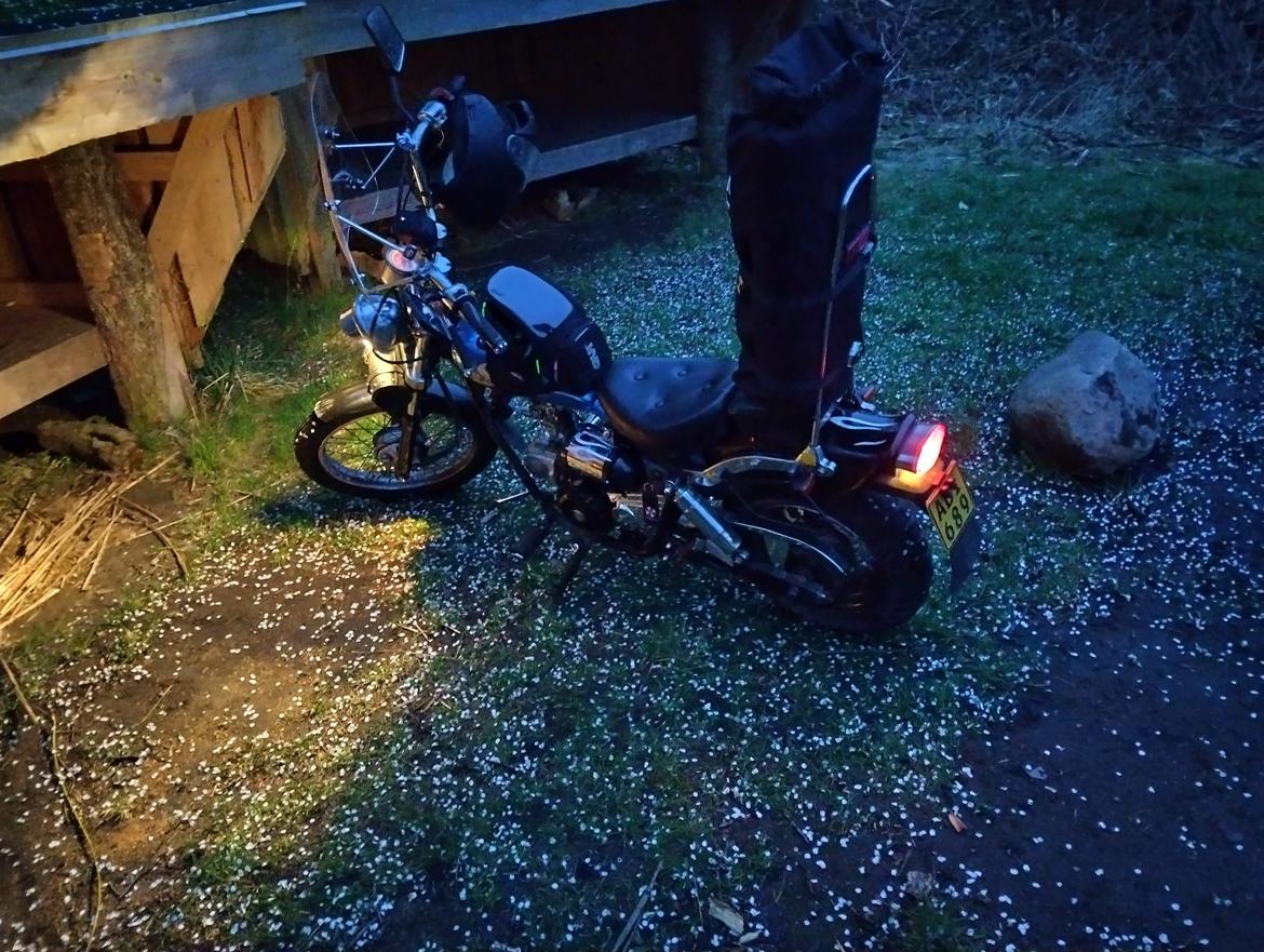 Regal dadyw regal raptor dd50qe-3 billede 11