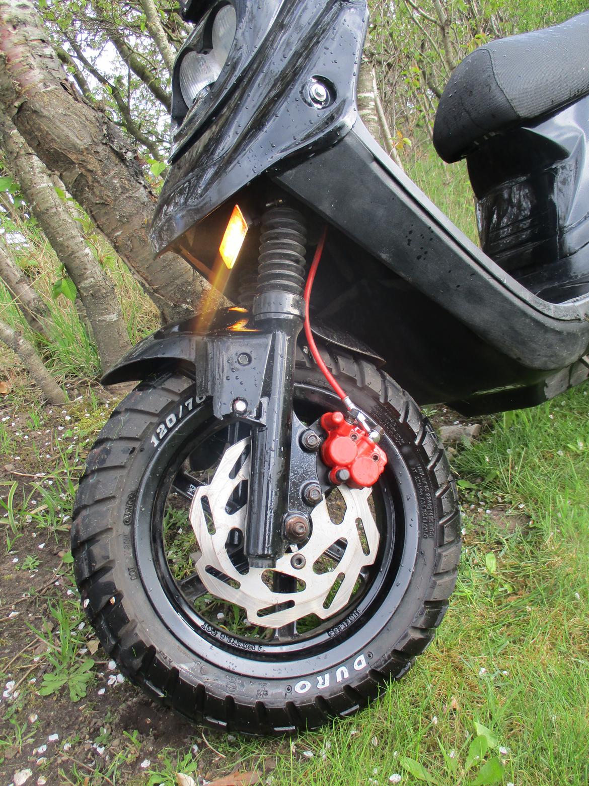 PGO Hot 50 SP billede 3