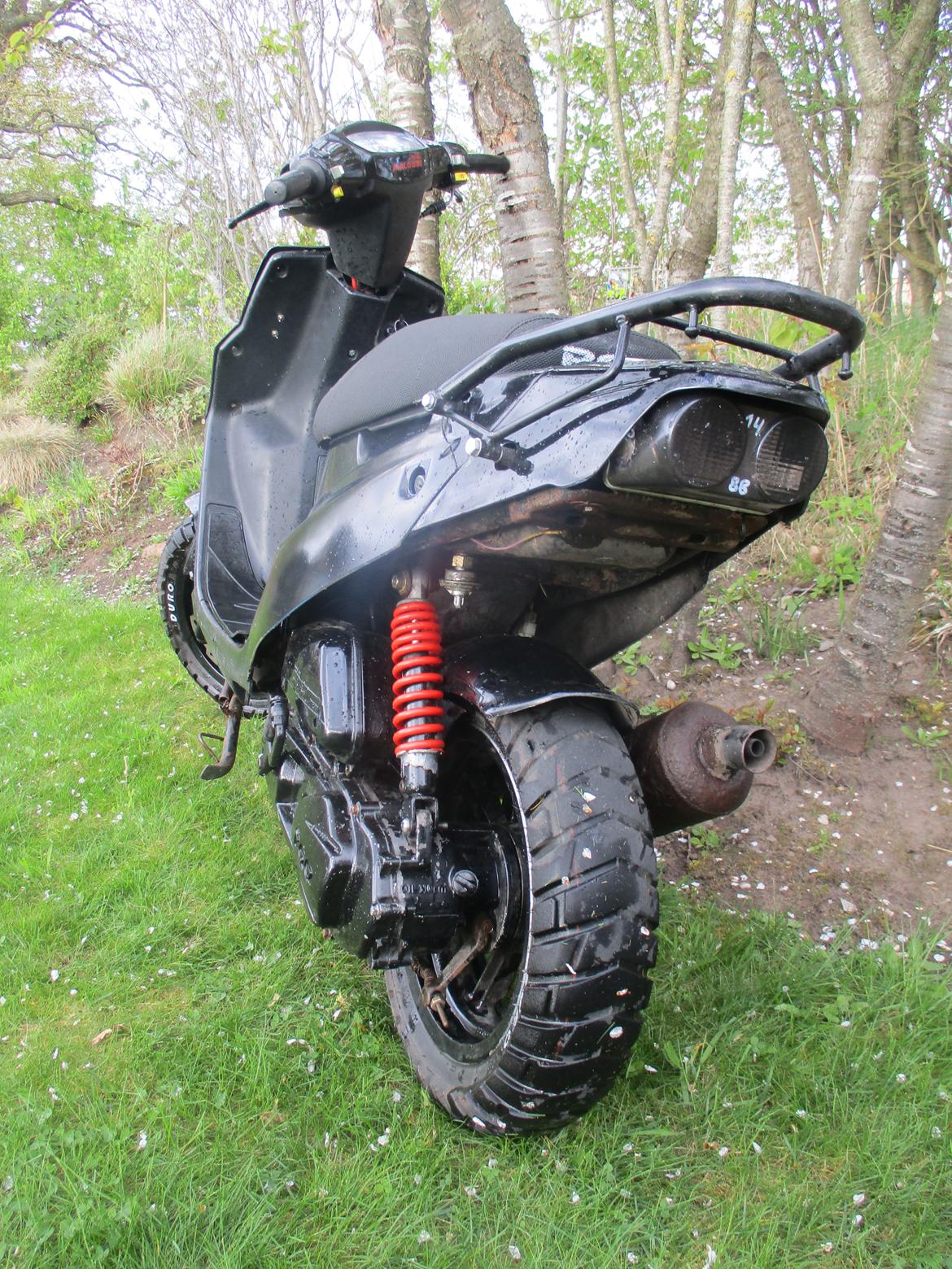 PGO Hot 50 SP billede 5