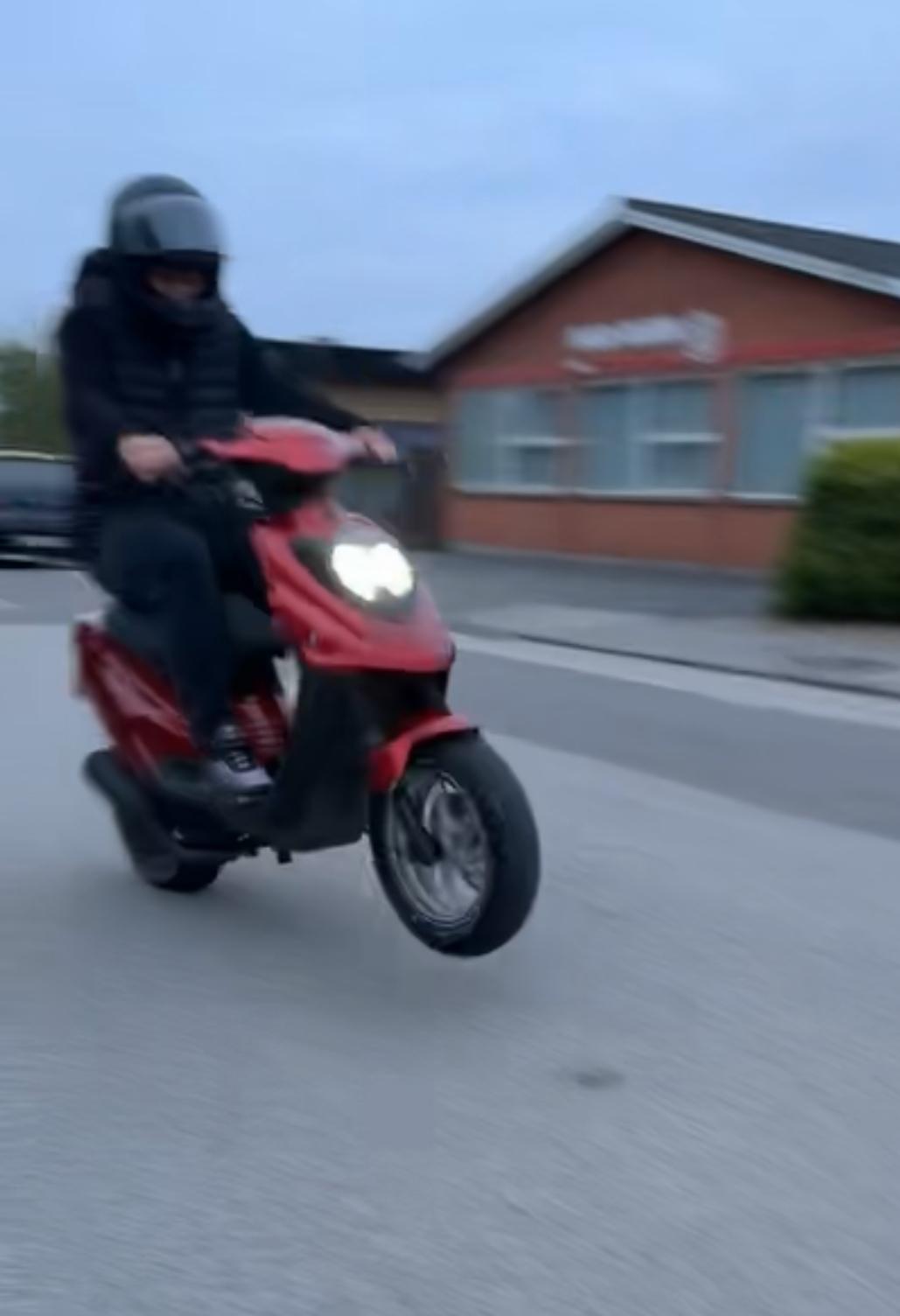 PGO Hot 50 pmps  billede 20