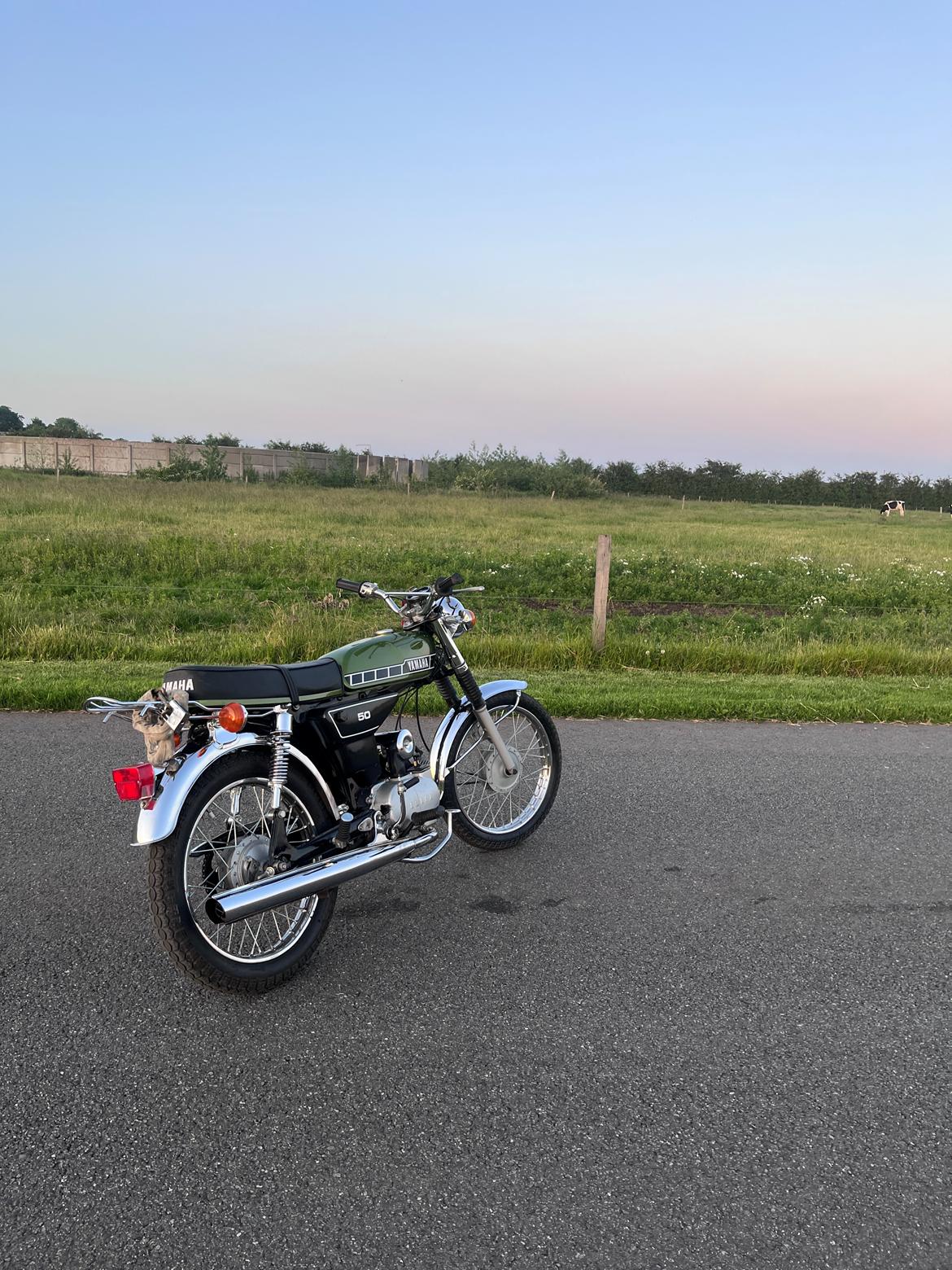 Yamaha Yamaha fs1 4gear billede 1