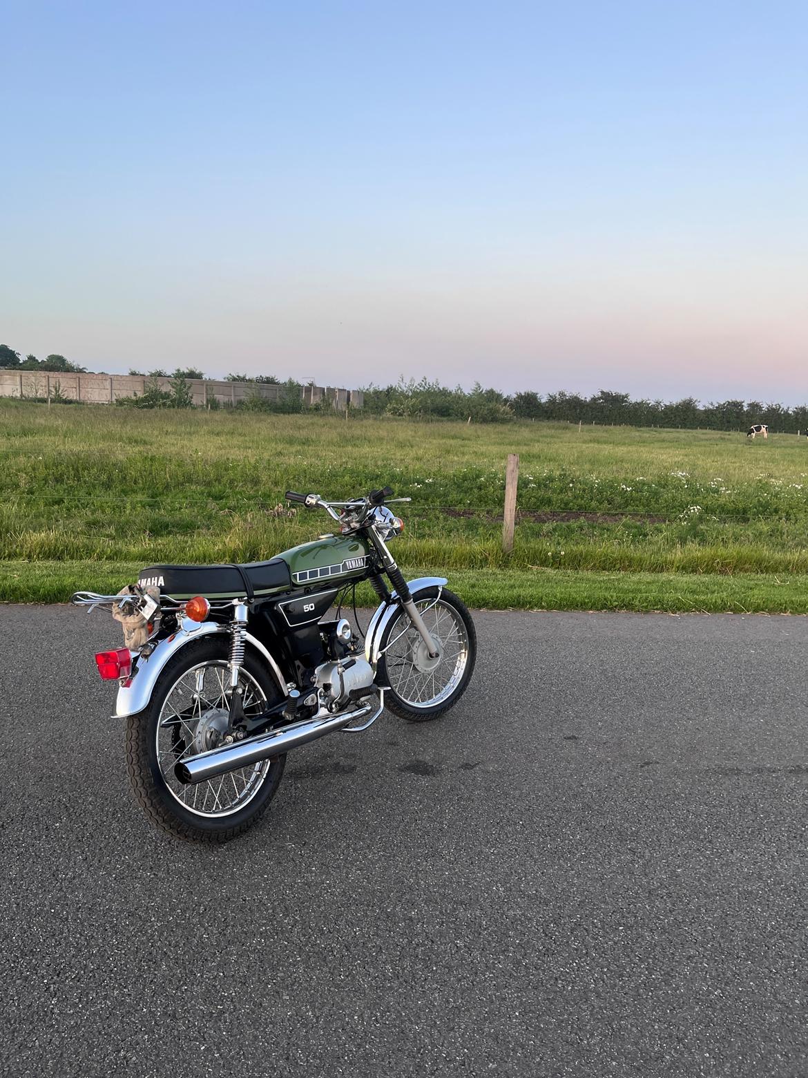 Yamaha Yamaha fs1 4gear billede 3