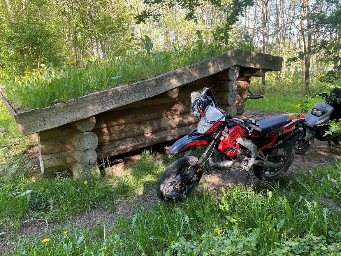 Aprilia SX 50 billede 9