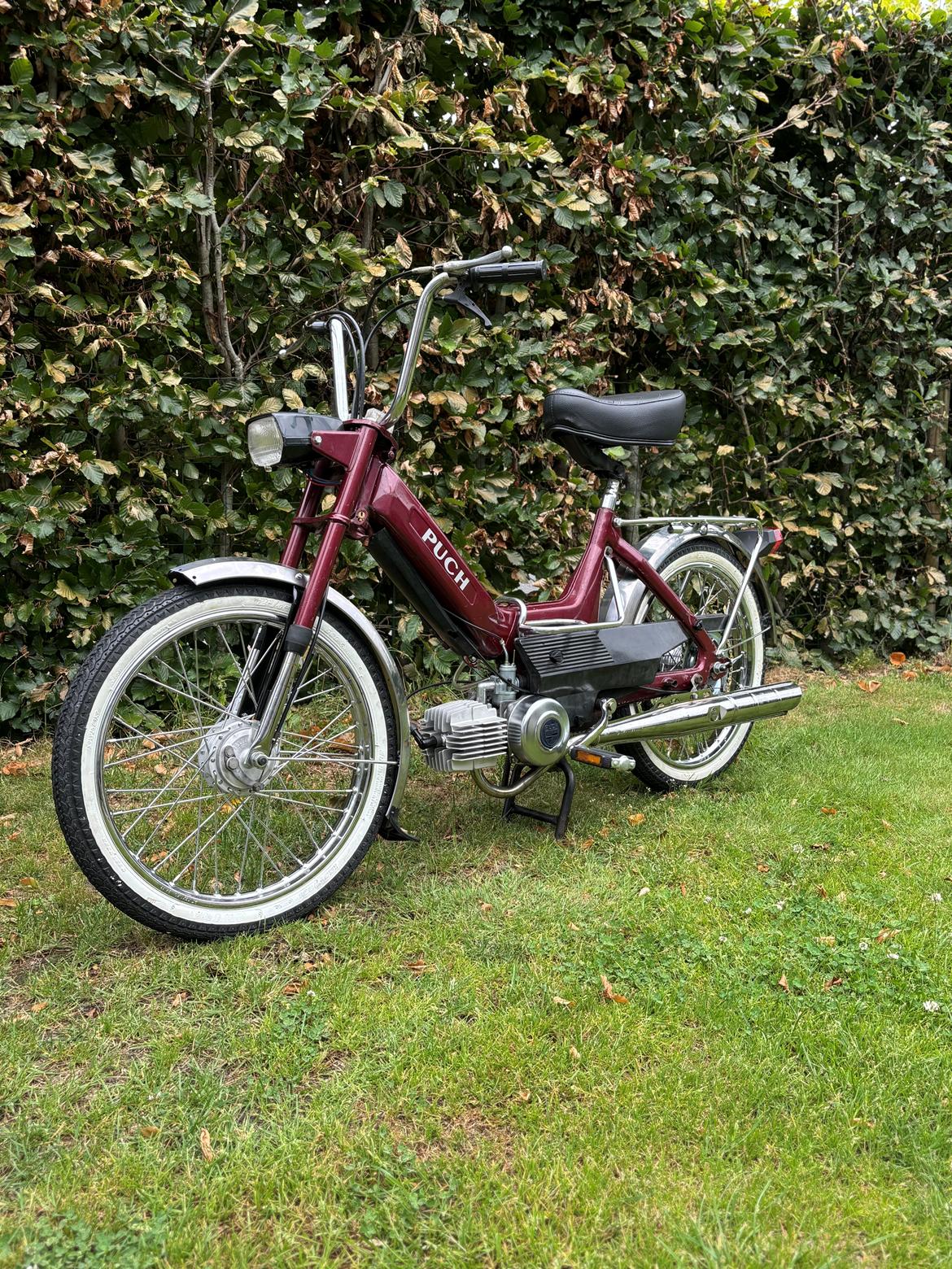 Puch Maxi P billede 1